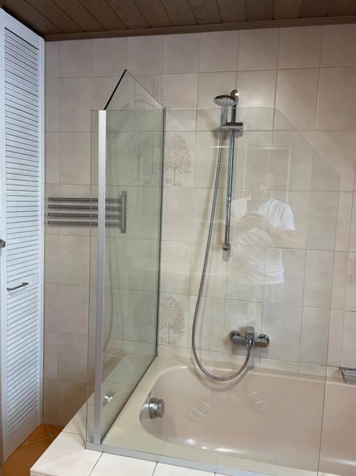 Maisonette Apartment Family & Business Naehe Heidelberg I Kueche I 6 Schlafplaetze Sinsheim Exterior photo